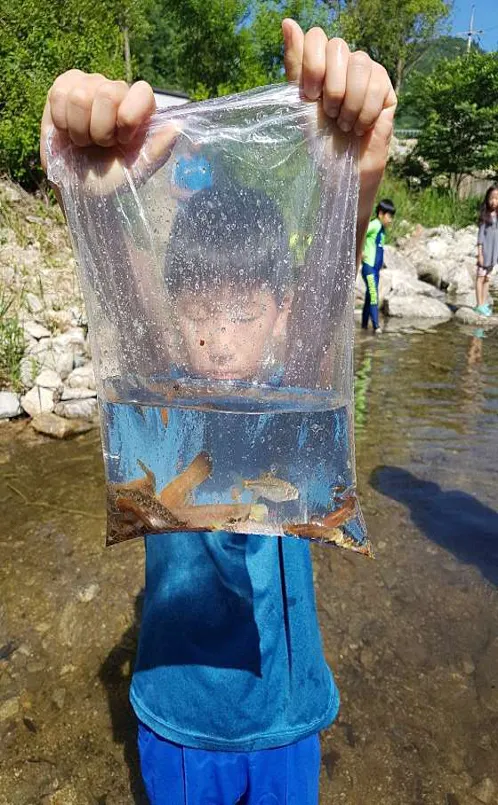 산노리캠핑장