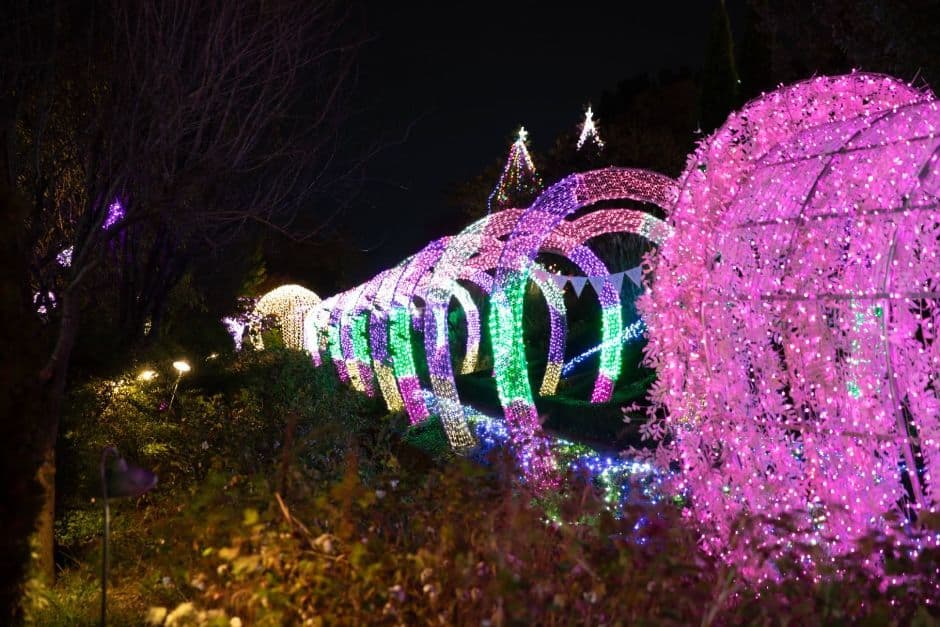 [야간 명소]가족동반, 반려견과 함께 하는 여행지❘퍼스트가든 별빛축제 다녀왔어요!