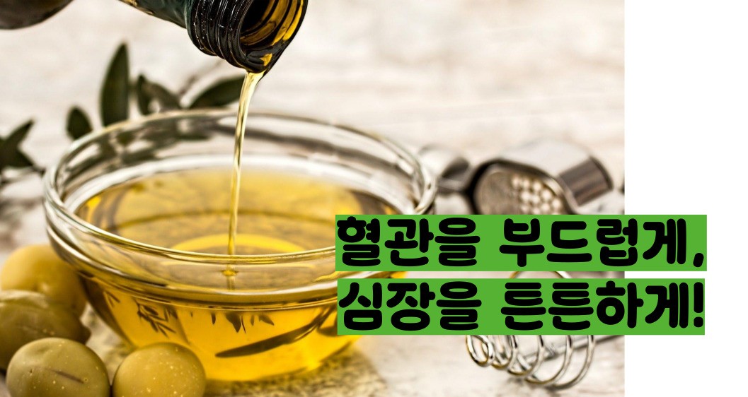올리브오일 효능