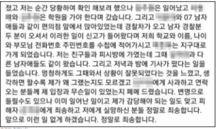 일산성추행-여중생-사과문
