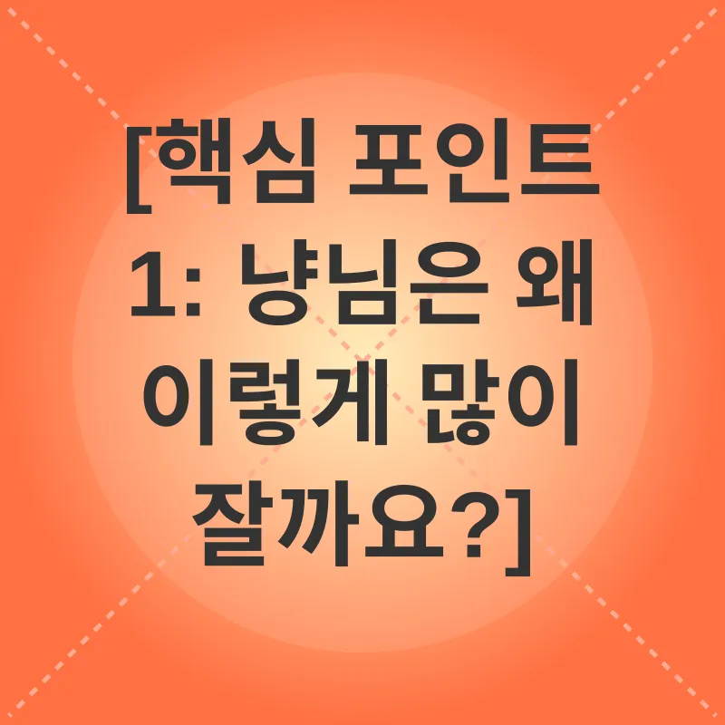 고양이 수면_1