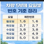 차량 5부제 위반