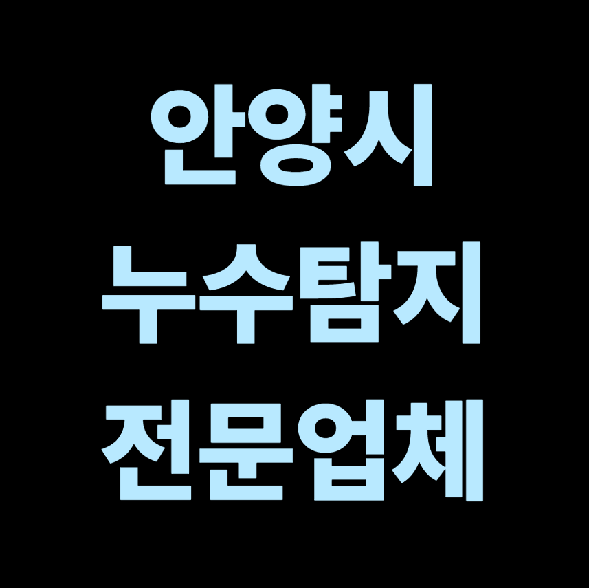 안양시 누수탐지 전문업체