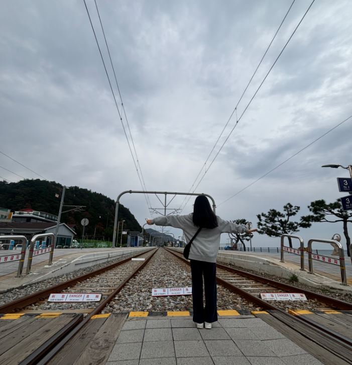 정동진 레일바이크 예약 시간 방법 요금 주차 후기 강릉여행