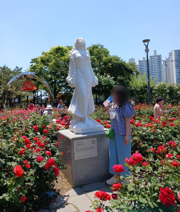 장미축제 장미여인