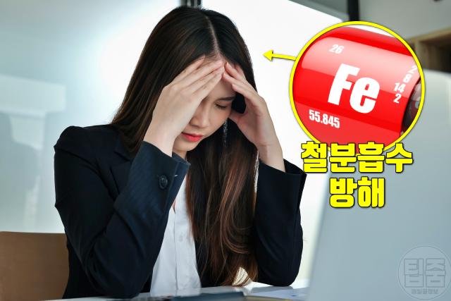 커피 마시면 안되는 사람 커피 하루 권장량 빈혈