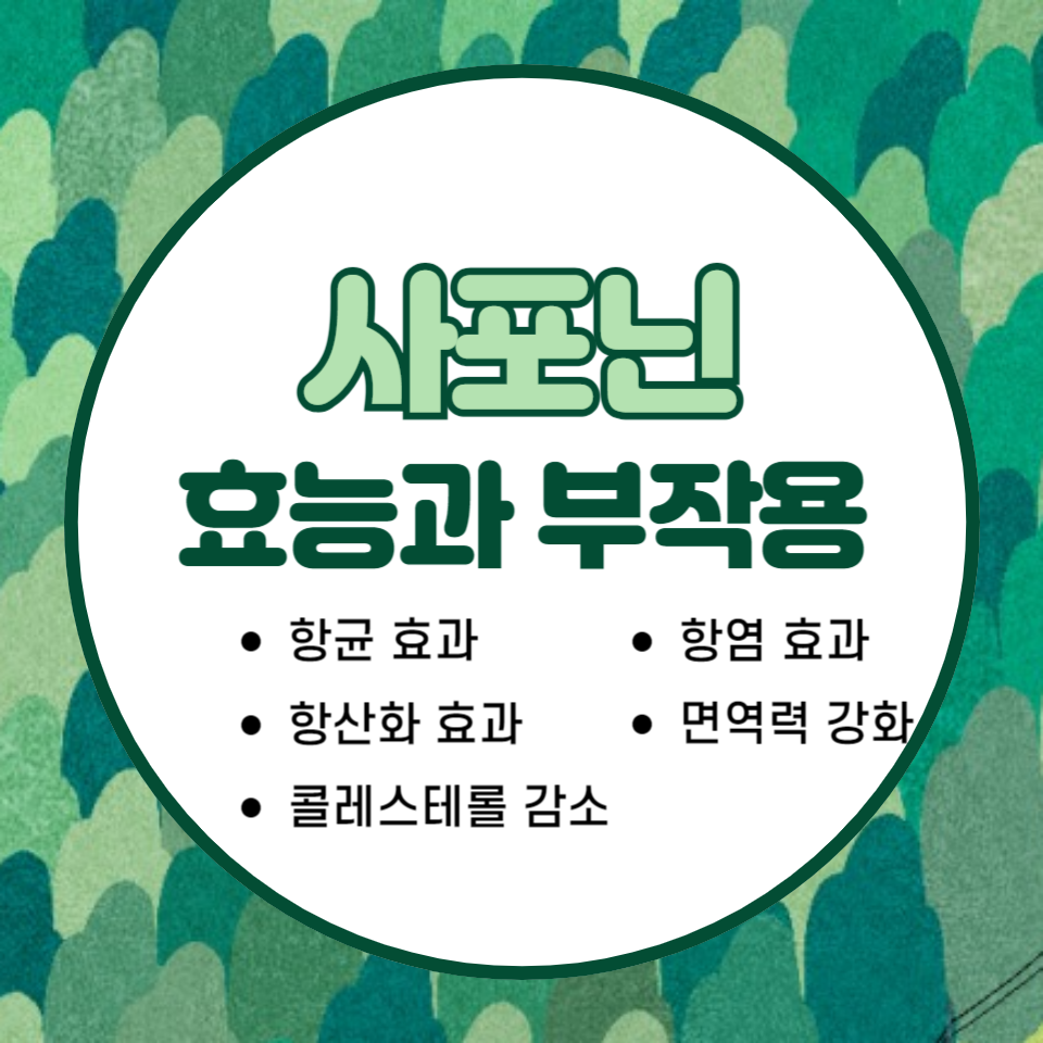 사포닌 효능과 부작용