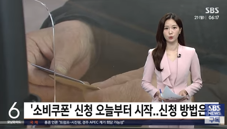 소비쿠폰 요일제 신청 기준은?