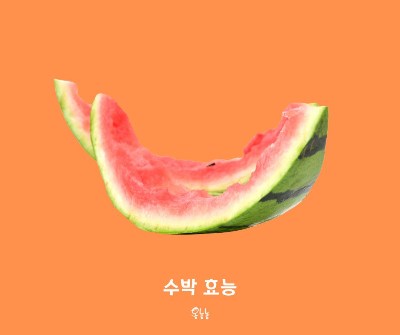 수박 껍질 효능