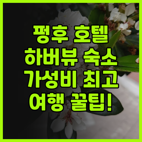 펑후 MF 하버뷰 호텔 숙박 후기 가..