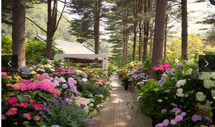 2024 수국 축제 아침고요수목원 및 주변 할인 정보 보기: 입장료, 대중교통, 주차