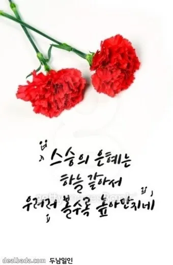 스승의 날에 감동 주는 영어 감사 문구와 축하 문자 모음_19
