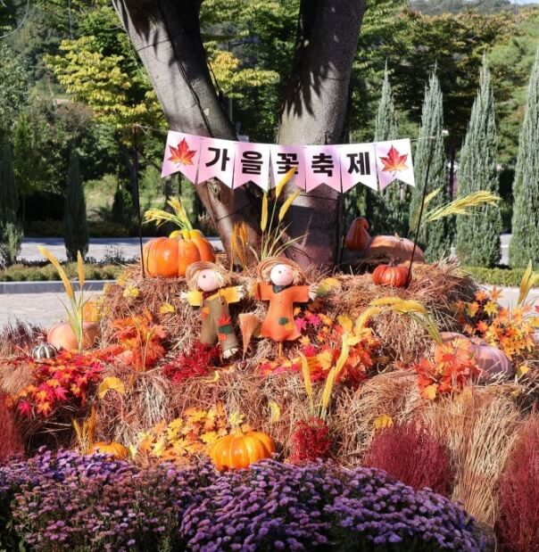 생생정보 택시맛객 용인여행 용인자작나무숲 봄꽃축제 실내스카이다이빙체험 족발맛집 평원집