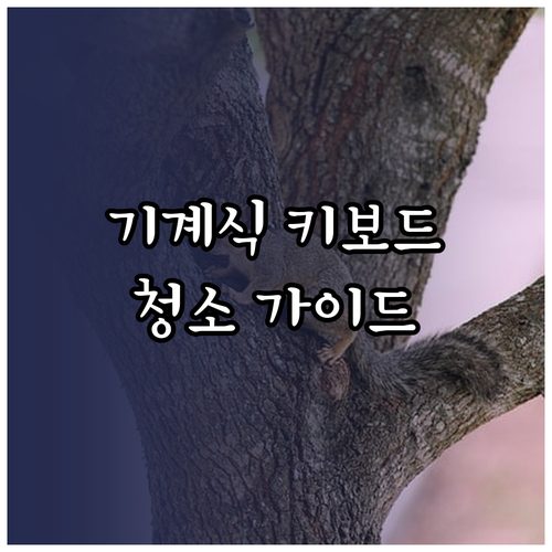 끊김 없는 타건감 기계식 키보드 청결..
