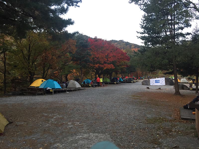 대관령 솔내음오토캠핑장 소개