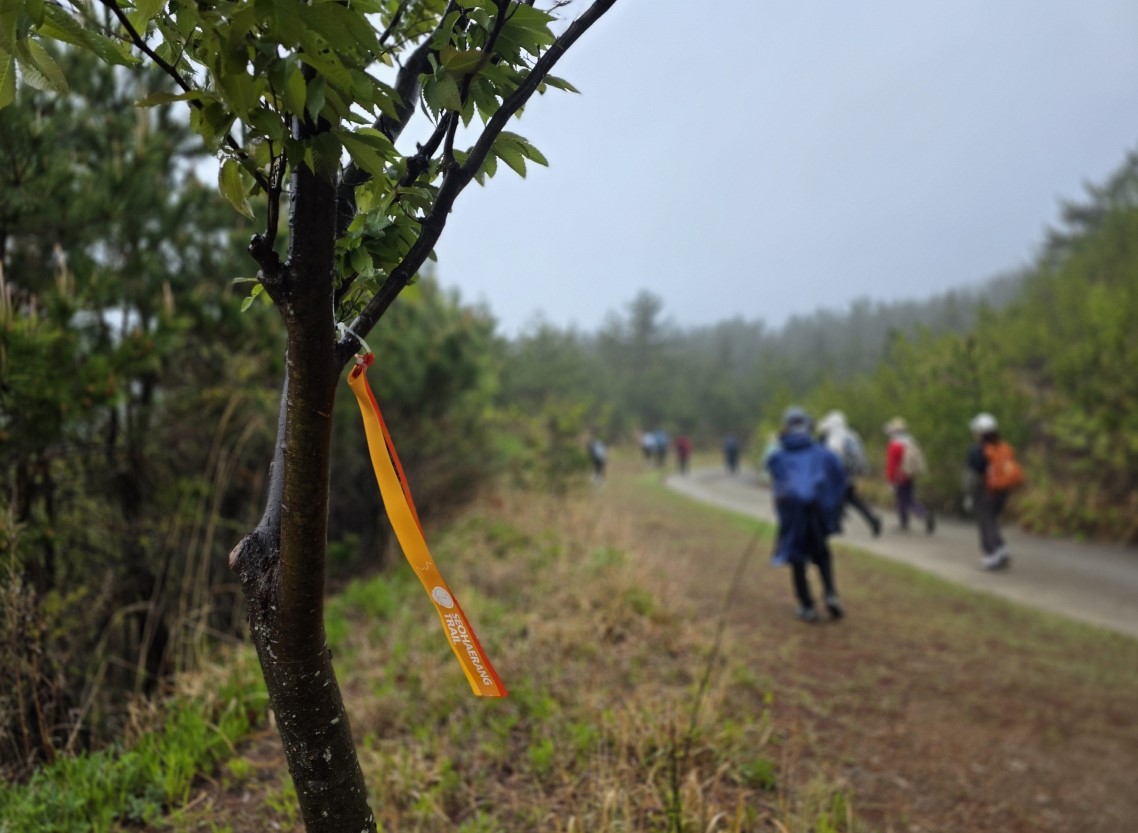 태안 서해랑길 완주 원정대 73코스