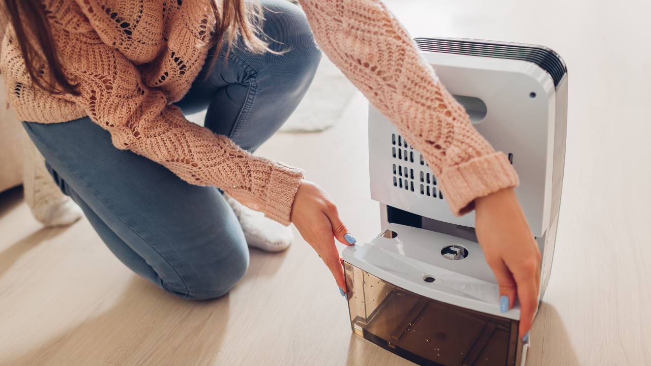 습기야 꺼져라! 내 방을 지켜줄 가성비 제습기 BEST 5