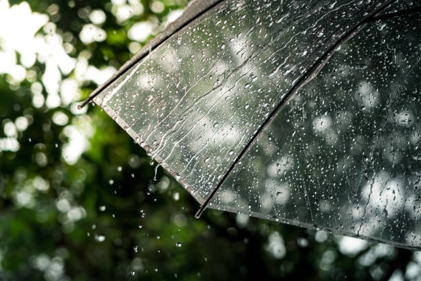  장마 예상 기간 2025년 