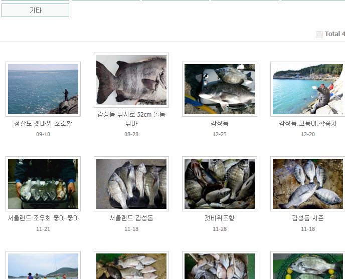 청산도 배시간표 예약 사이트