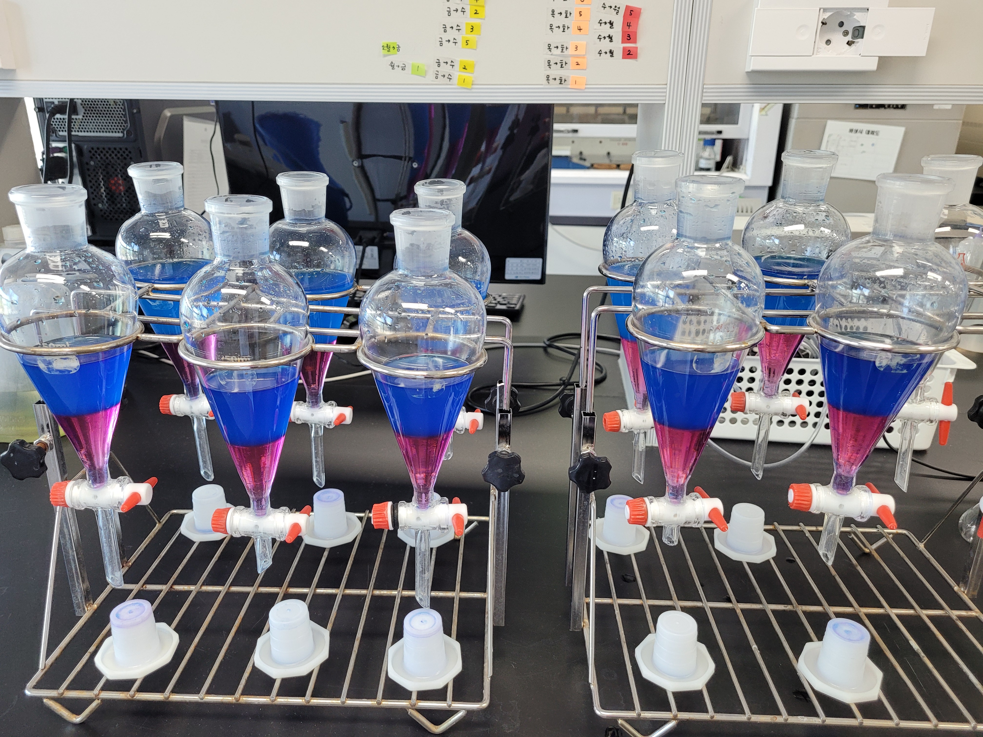 전처리 과정 진행 모습