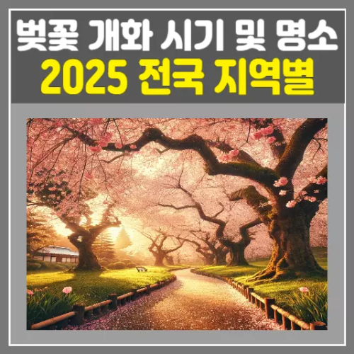 2025 벚꽃 개화 시기 총정리