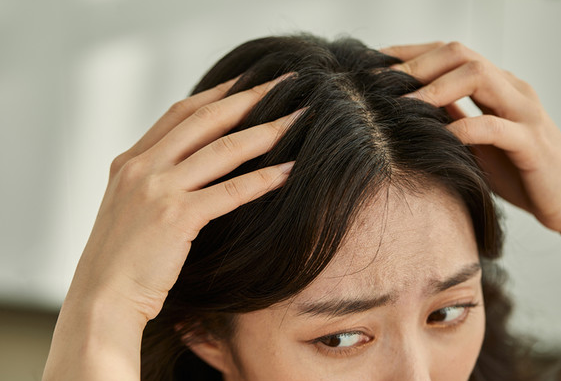 두피와 모발을 보호하는 환경오염 대응법 (세정, 항산화, 생활습관