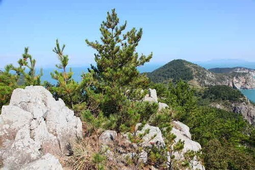 6시내고향 8297회 전남 여수 손죽도 배편 및 손죽도어촌마을식당