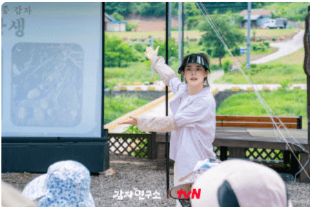 합법적 스트리밍 이용
