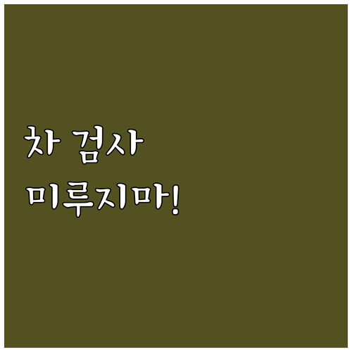 내 차 검사, 미루면 손해! 온라인 ..