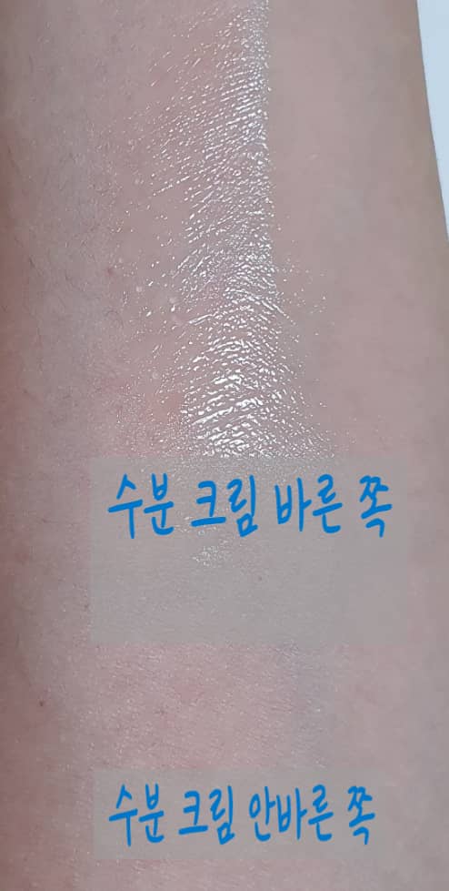 라운드랩 자작나무 수분크림