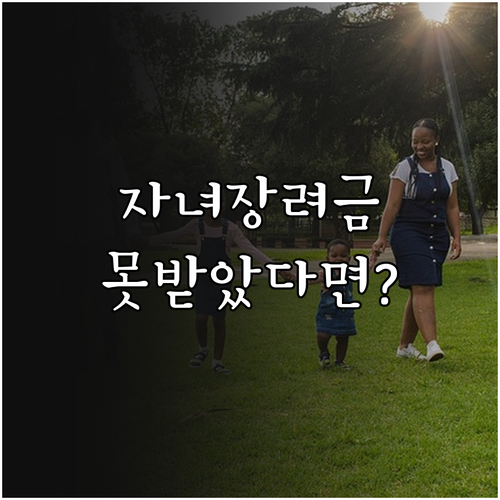 자녀장려금 지급 제외 사유별 이의신청..