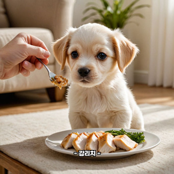 강아지 닭가슴살 효능