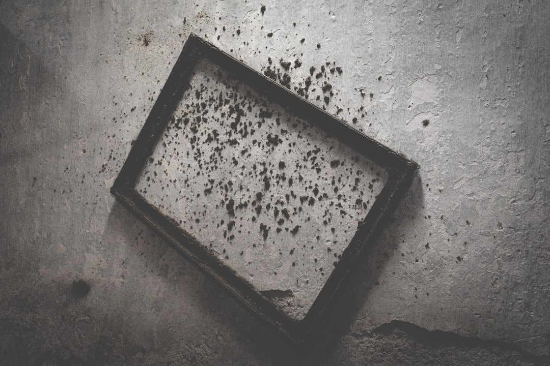 Mold