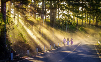 보건증 검사항목 쉽게 정리 7