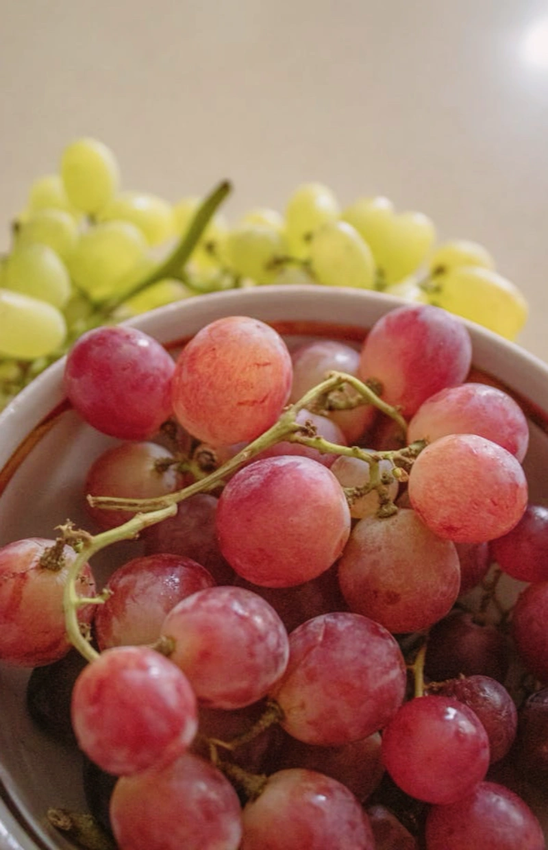 로얄바인 포도 후기&amp;#44; 로얄바인 명품과일 가격&amp;#44; 로얄바인 프리미엄 포도 구매&amp;#44; 로얄바인 선물세트&amp;#44; 프리미엄 과일 수익성 작물&amp;#44; 부자과일 인기순위&amp;#44; 고소득층 과일 추천&amp;#44; 신세계백화점 로얄바인&amp;#44; 명절 고급 과일 선물&amp;#44; 클럽재배 과일 뜻&amp;#44; 명품 과일&amp;#44; 프리미엄 포도&amp;#44; 농가 수익성 작물&amp;#44; 프리미엄 과일 투자&amp;#44; 백화점 과일 선물세트&amp;#44; 추석 과일 선물 추천