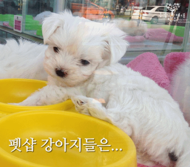 생명 거래는 이제 멈춰야 합니다