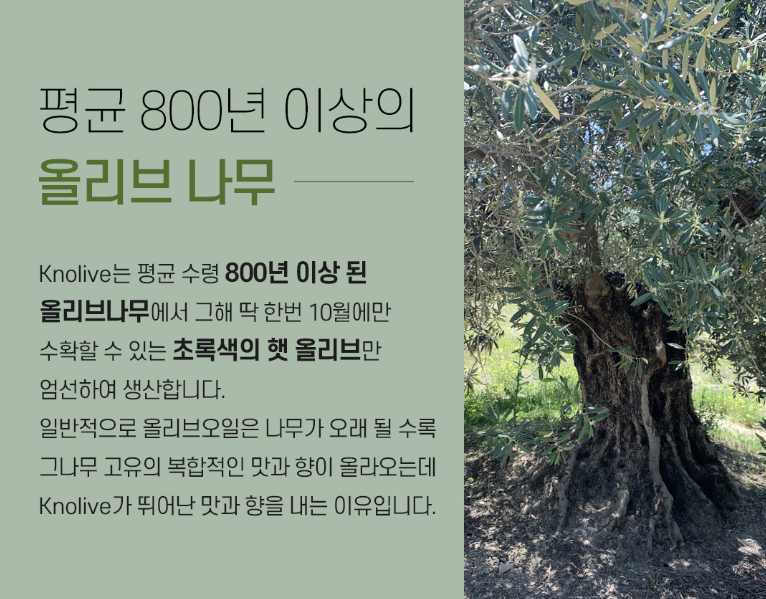 널리브 엑스트라버진 올리브오일 추천