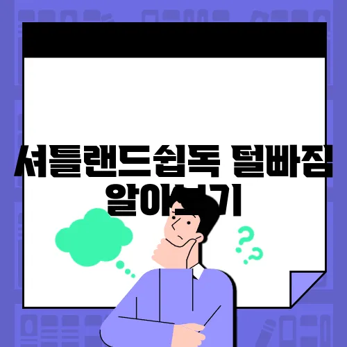 셔틀랜드쉽독 털빠짐 알아보기