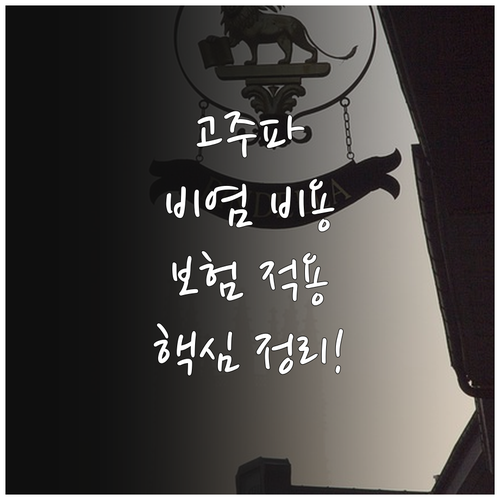 고주파 비염 수술 비용과 비중격 교정..