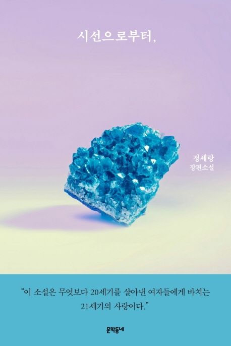 시선으로부터,의 책 표지