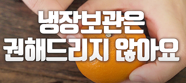 귤은 상온보관이 원칙