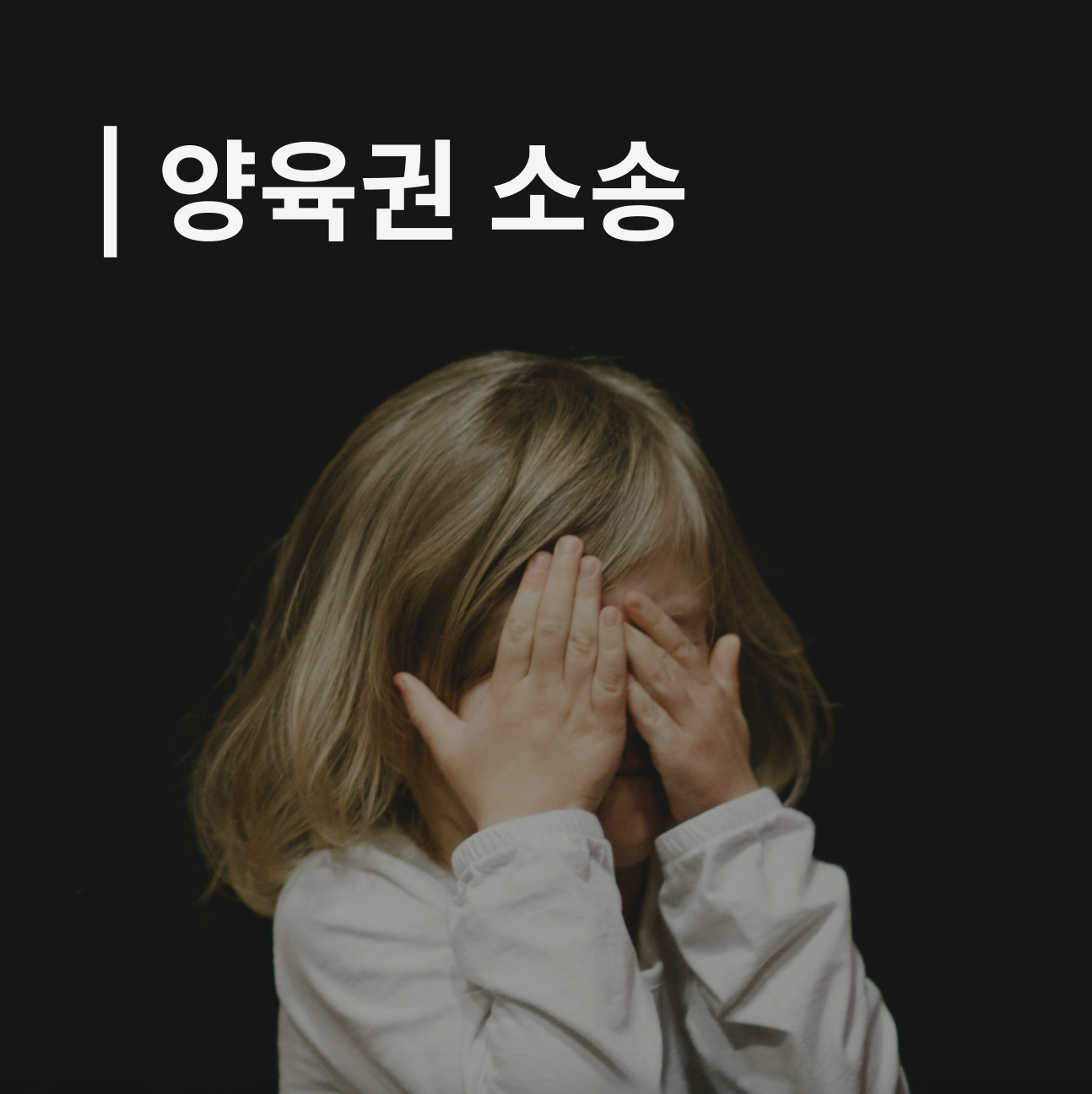 양육권 소송