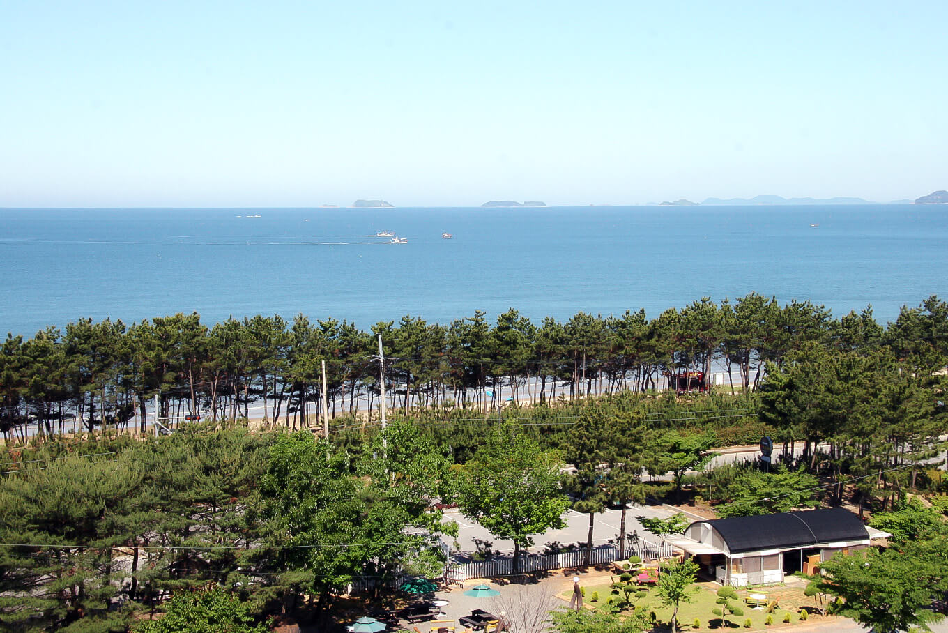 안면도수산시장 수산물 축제