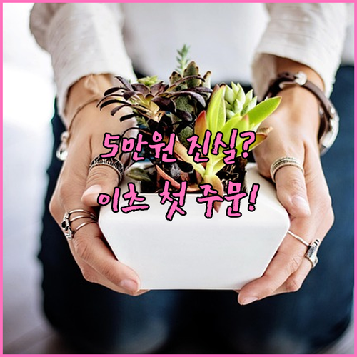 쿠팡 5만원 보상 진실 확인 및 쿠팡..