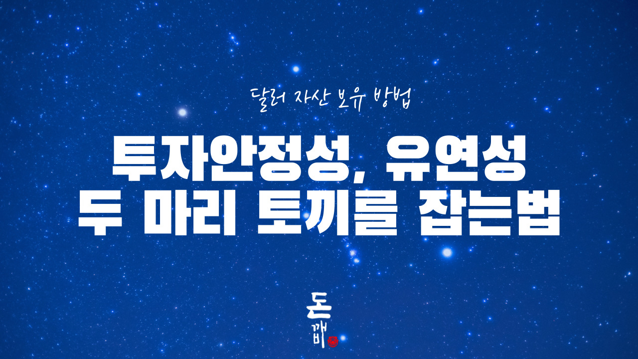 달러 자산, '투자 안정성'과 '유연성' 두 마리 토끼 잡는다