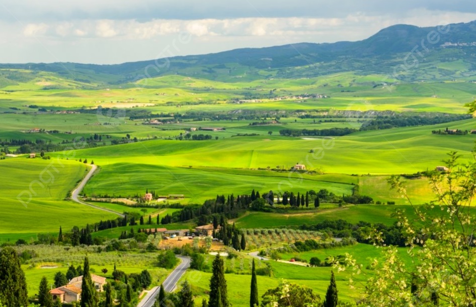 이탈리아 토스카나 포도밭