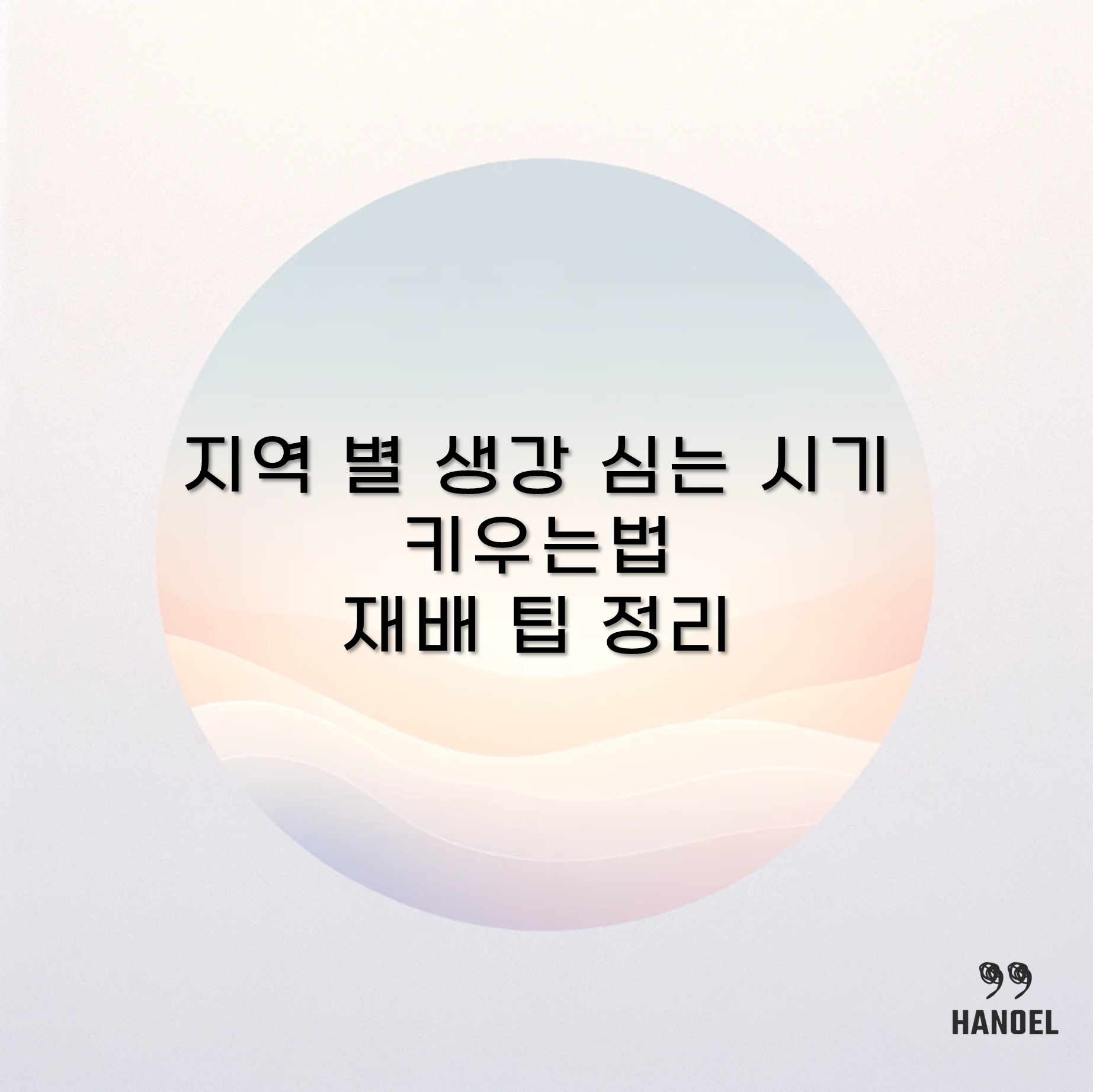 지역 별 생강 심는 시기 키우는법 재배 팁 정리
