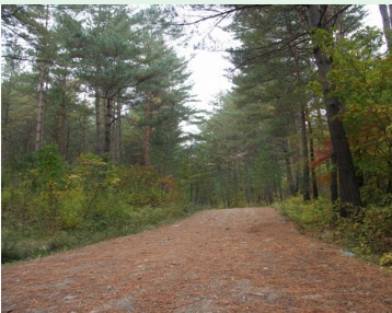 숲나들e 홈페이지 실시간 예약방법
