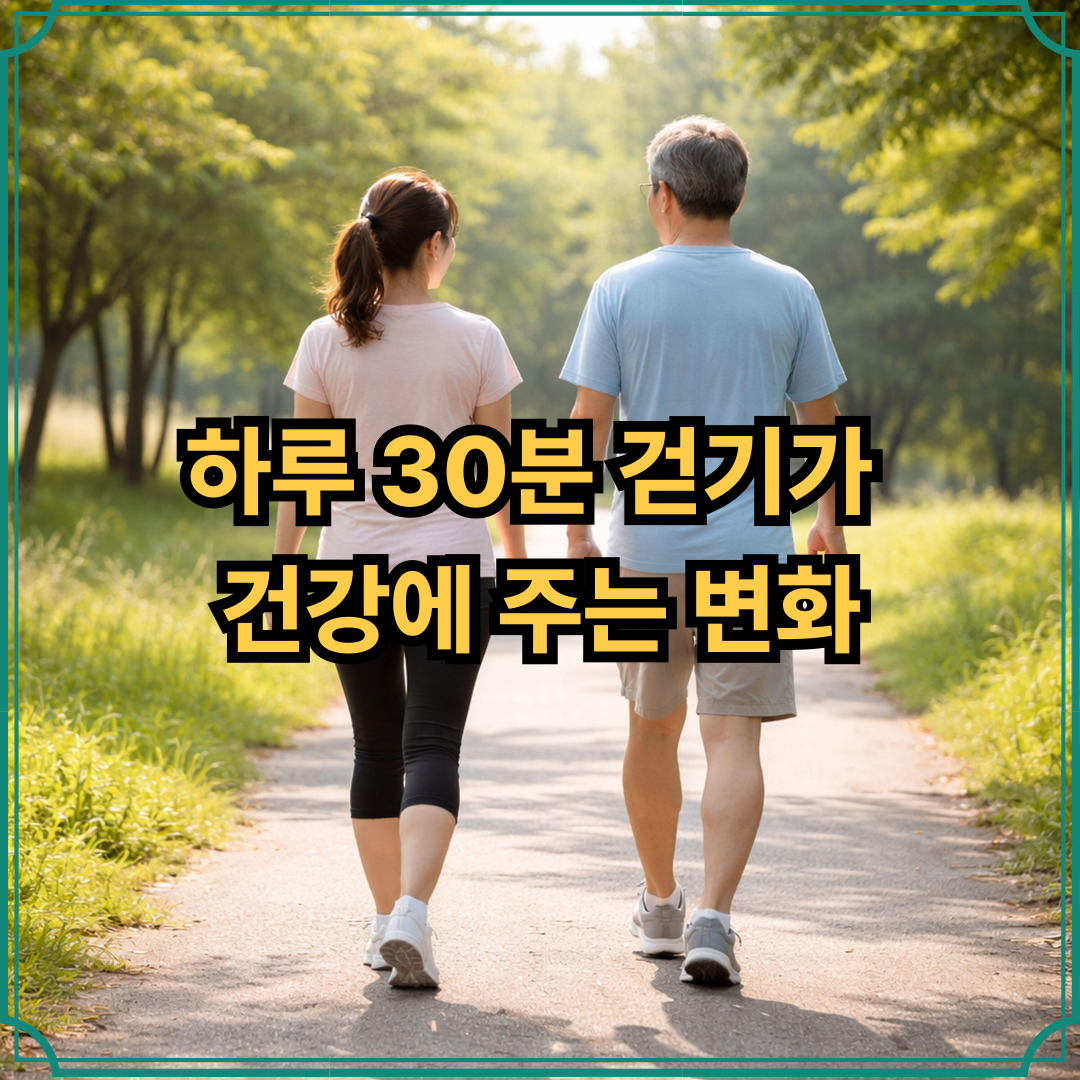 하루 30분 걷기가 건강에 주는 변화
