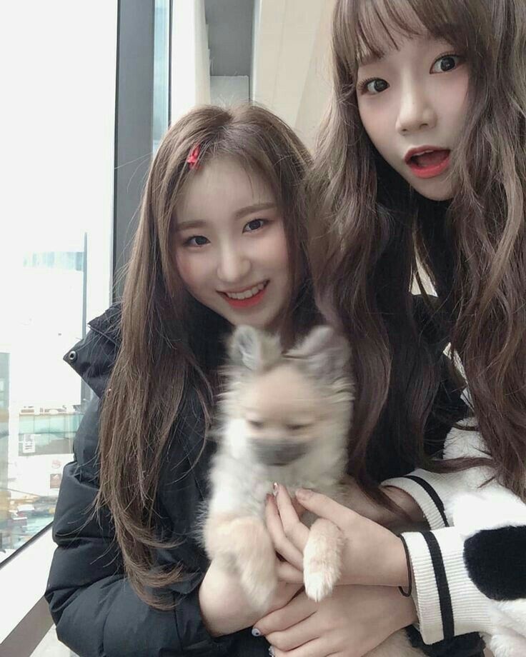 아이즈원 프로듀스48 사진 모음 아이즈원 프로듀스48 사진 모음